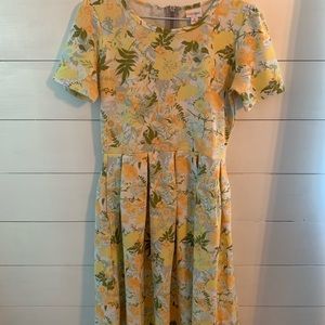 Lularoe Amelia dress